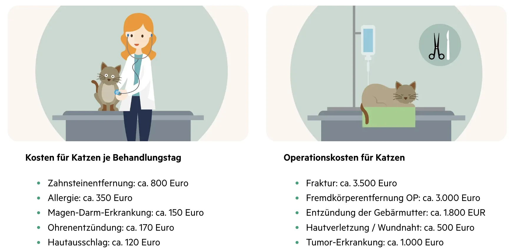Behandlungs- und Operationskosten für Katzen